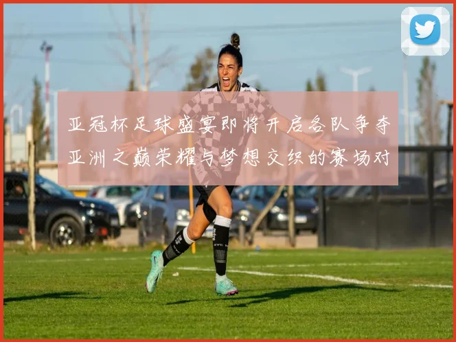 亚冠杯足球盛宴即将开启各队争夺亚洲之巅荣耀与梦想交织的赛场对决