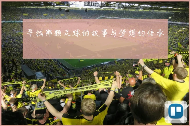 寻找那颗足球的故事与梦想的传承