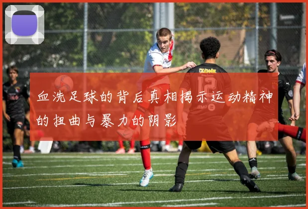 血洗足球的背后真相揭示运动精神的扭曲与暴力的阴影