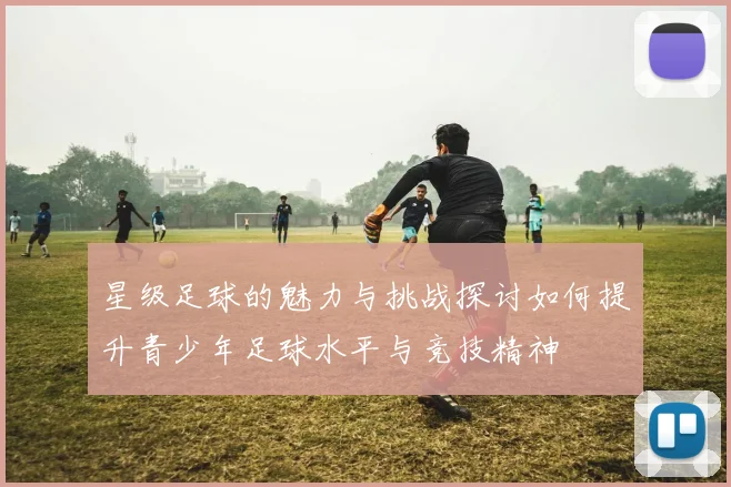 星级足球的魅力与挑战探讨如何提升青少年足球水平与竞技精神