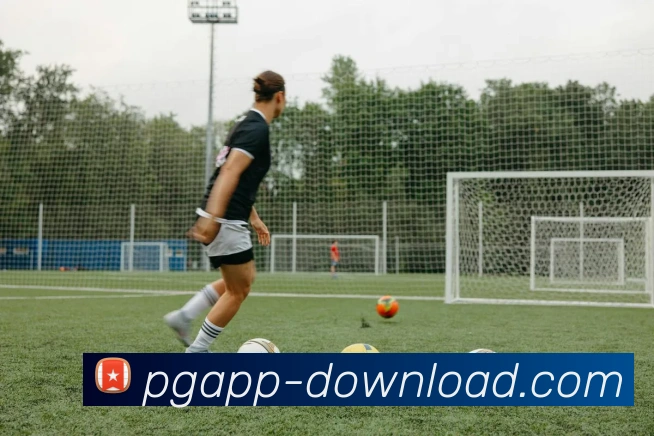 PG Simulation发展历程